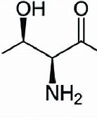 L Threonine Adalah